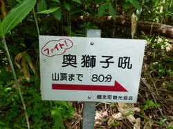 P1000491.JPG