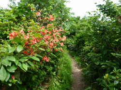 P1000504.JPG