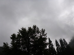 P1000774.JPG