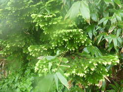 P1000838.JPG