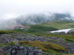 P1010019.JPG