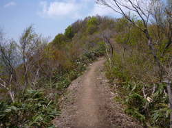P1050010.JPG