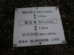 P1100155.JPG