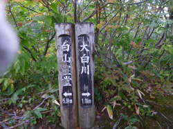 P1120036.JPG
