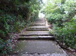 P1120420.JPG