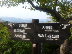 P1120749.JPG