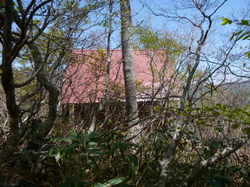 P1150002.JPG
