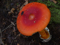 P1170835.JPG