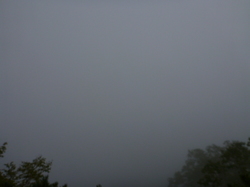 P1190932.JPG