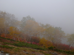 P1200633.JPG