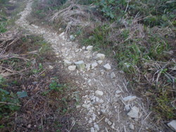 P1220152.JPG
