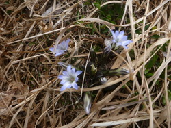 P1300216.JPG