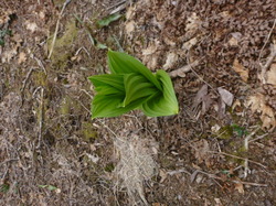 P1300219.JPG